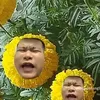 batrumbomhang1