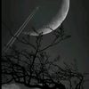 sykin_272