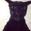 larry_le_malicieux6