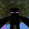 cutodijnatlonem