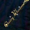 cherryblossom_910