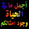 user8224071396571