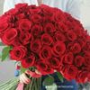 user6515185731783