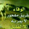 user43663983087635