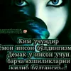 user985241081201