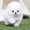 oieoiou