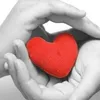 user5198780812981