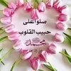 nour.farah037