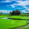 biasa2_81