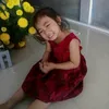 ltdp.phucc