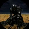 david433332