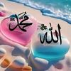 md.ainul256