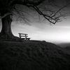 all_of_the_stars0