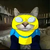 _kak09
