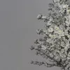 user2303120709201704