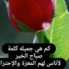 eqbal.alsagheer