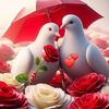 wai.phyo.khant25