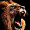 yescomment50