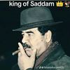 noormuhammed8348
