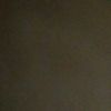 user4822619490728