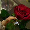 user9716904139986