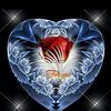 edwardosuarez8