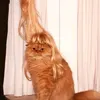 jinxed..dd