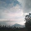 ikysaja7789