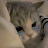phanhuynhkimngn904201994
