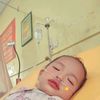mawarhitam1003536518