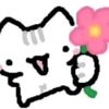 randomkitty25