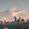 petani.mudah37