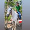 leandrodominguez.6