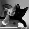 lovehate.thena