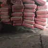 .puji21