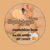สุพิชญา ฟาร์มไข่ไก่
