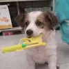 timgiumvideodimo