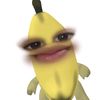 raaa_zwaa