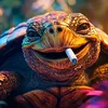 tortugadetroya