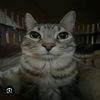 empir_928
