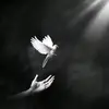 anh.thuw__1