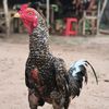 ko.kyaw.gyi3514