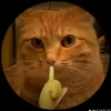 nhan.doan93