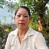 tuyet.vo62