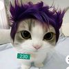 thanosworld472