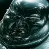 dariusrosete4