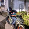 aldy.mawar