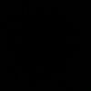 dip5877