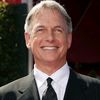 mark.harmon7824