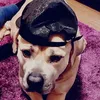 aisha.bagel